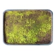 Kyoto Moss, 1x 15gr