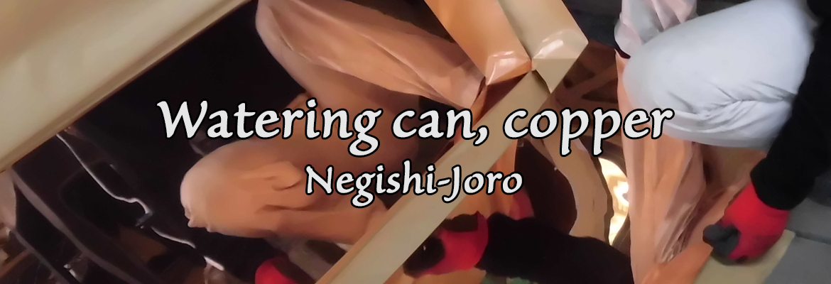 Negishi-Joro